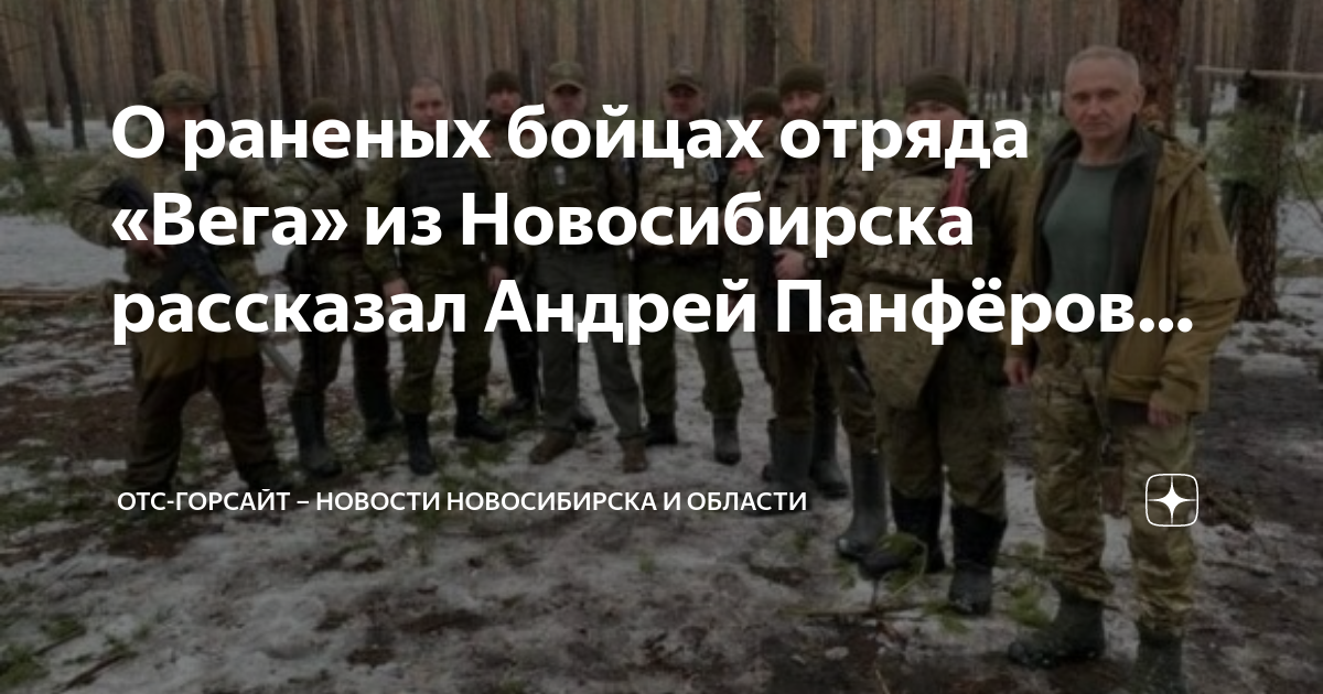 Отс горсайт. Тяжелораненые военные