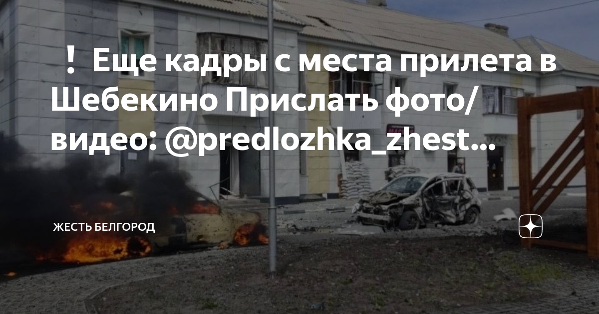 жесть белгород шебекино