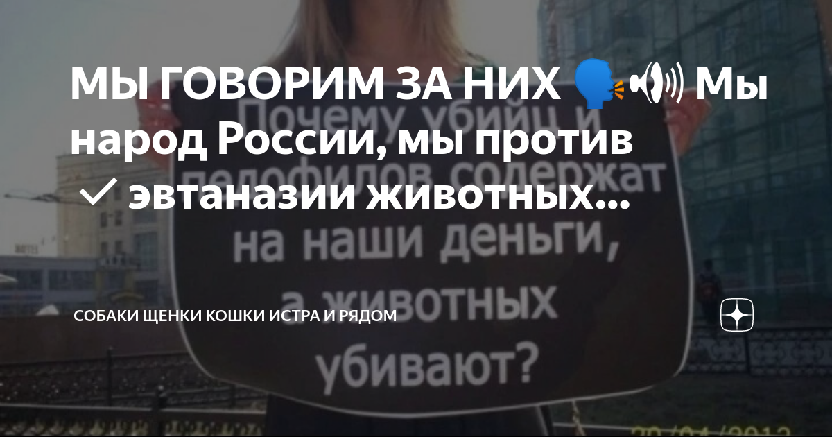 Гуманная эвтаназия животных на дому москва