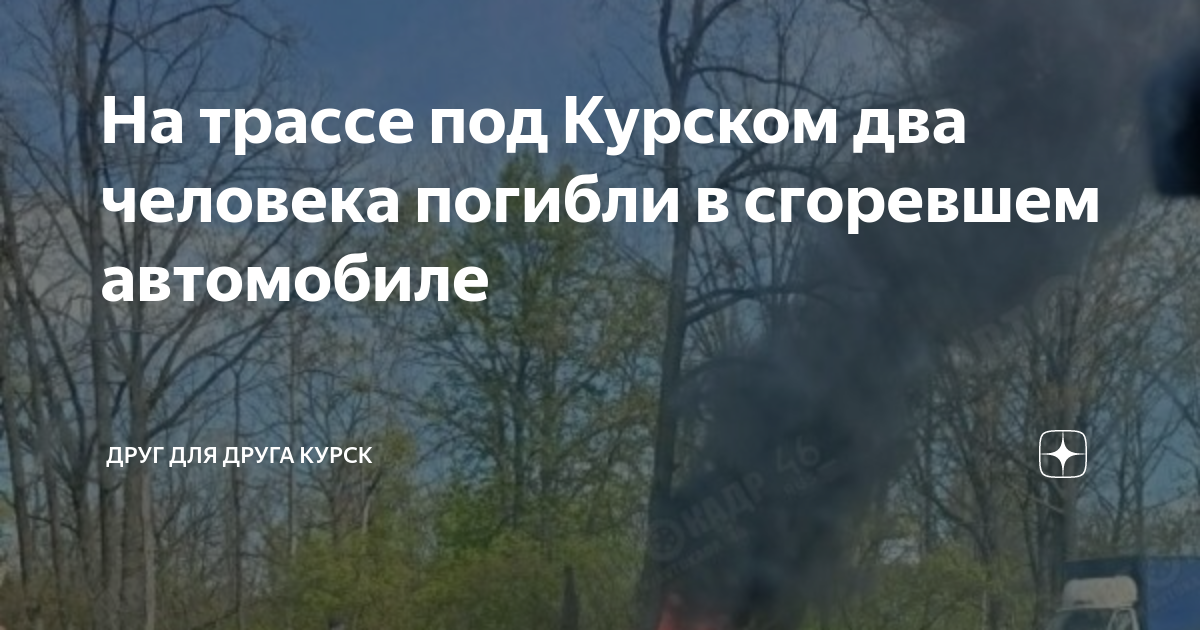 друг для друга курск новости сегодня последние