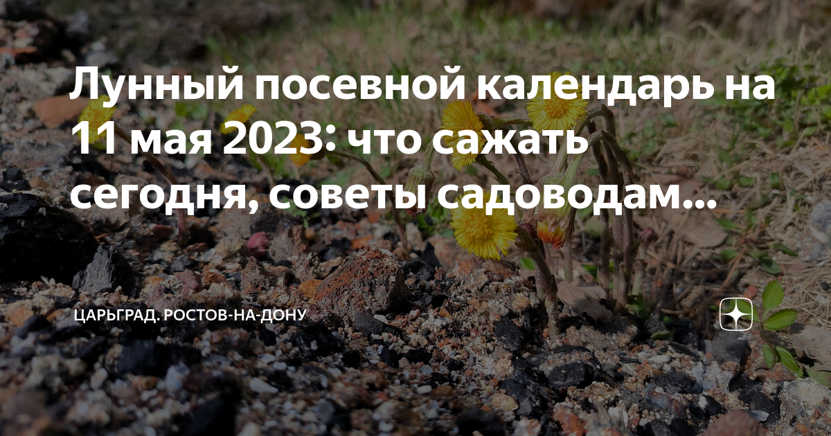 Лунно посевной календарь на май 2023