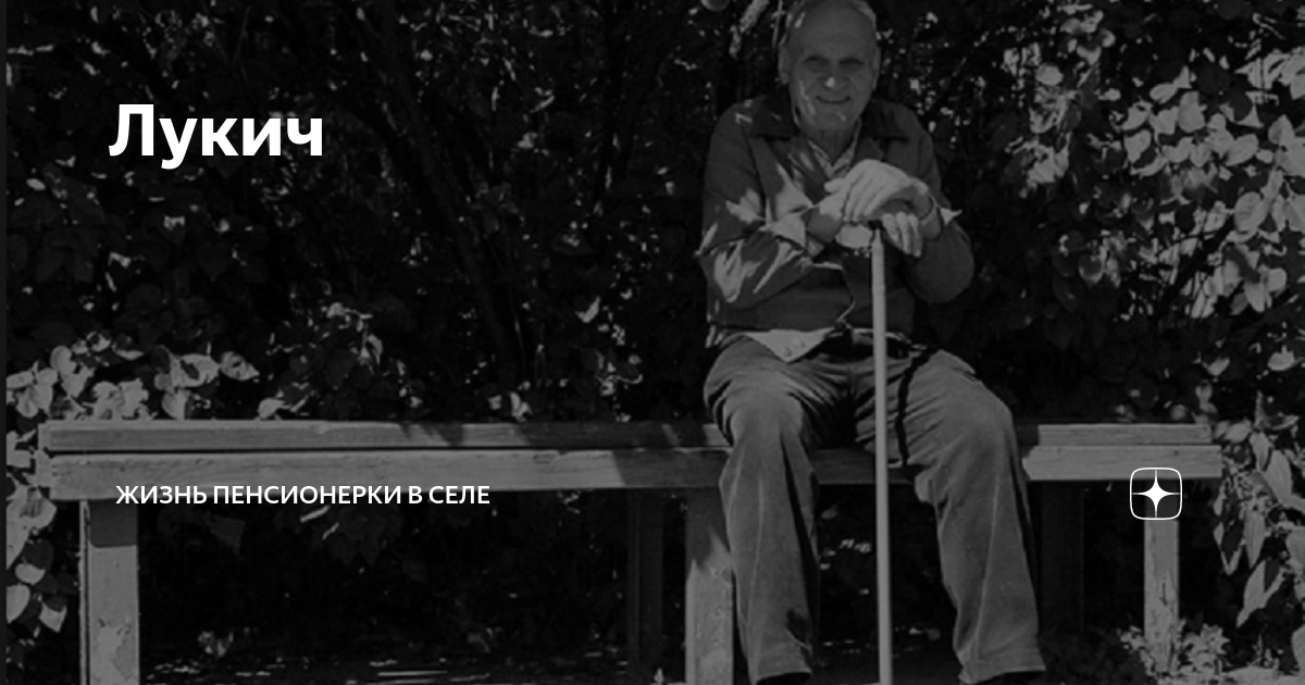 Тайная жизнь пенсионерки дзен. Тайная жизнь пенсионерки дзен. Тайная жизнь пенсионерки дзен. Бабушка блоггер. Тайная жизнь пенсионерки дзен.