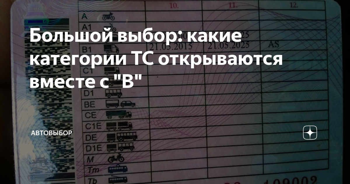 Большой выбор: какие категории ТС открываются вместе с "B" | Автовыбор ...
