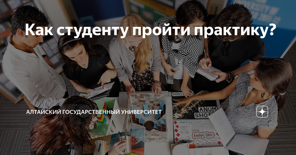 Где пройти студенту. Практика в вузе. Место проведения практики. Торговое дело картинки. Государственное и муниципальное управление специальность.