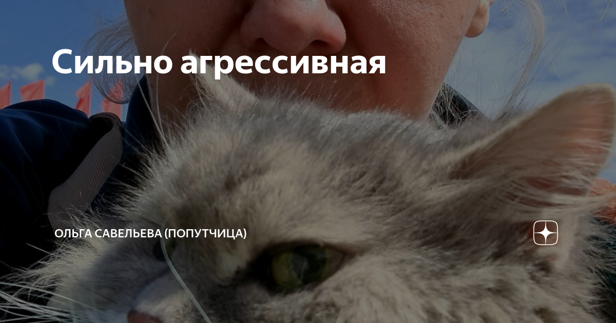 Причины аг. Приступы агрессии. Проявление агрессии. Сильно агрессирую. Причины проявления агрессии у подростков.