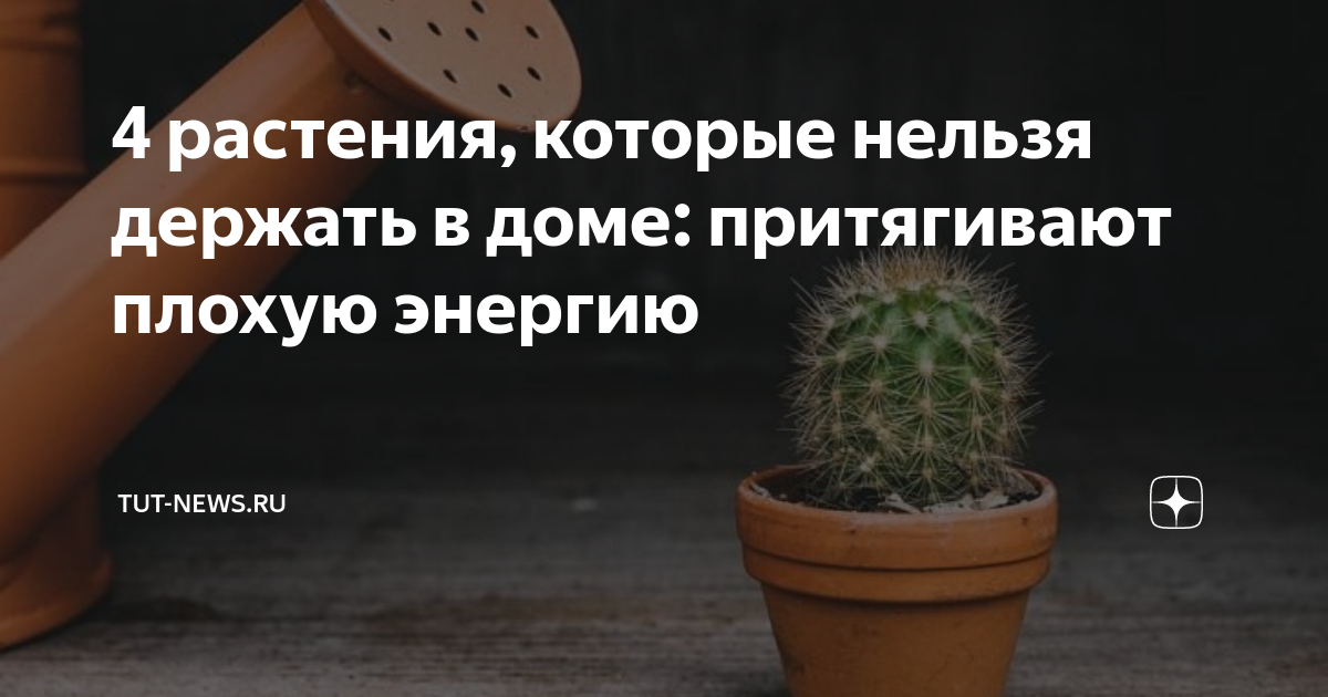 Какие фото нельзя держать дома