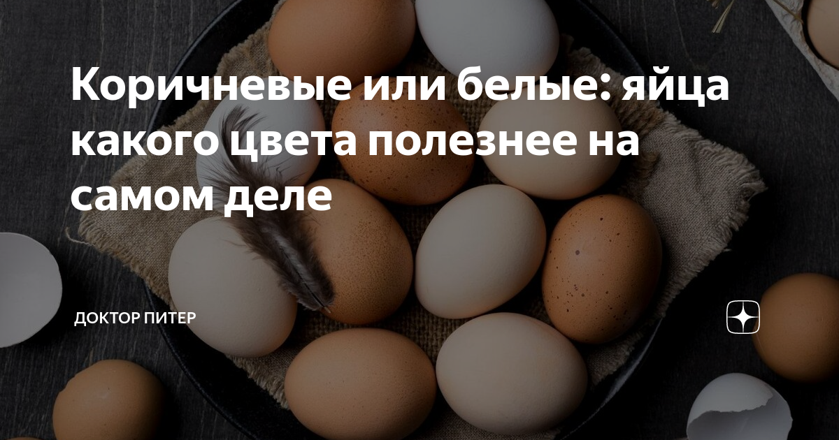 Белые куры несут белые яйца. Какие яйца лучше. Какие яйца полезнее белые или коричневые. Нормальный цвет куриного яйца. Окское яйцо цвета.