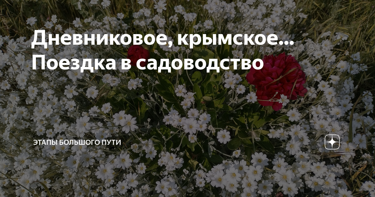 Дневниковое крымское этапы большого. Дневниковое крымское этапы большого. Этапы большого пути дзен. Этапы большого пути дзен. Дневниковое крымское этапы большого.