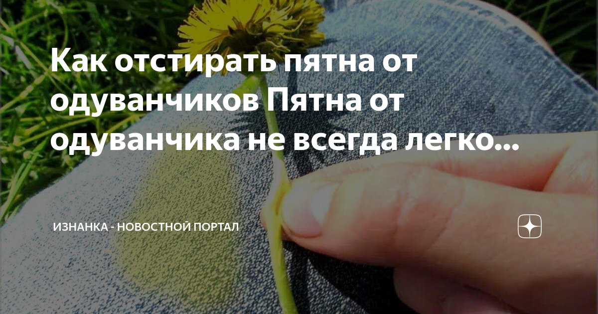 Как отстирать пятна от одуванчиков Пятна от одуванчика не всегда легко… |  Изнанка - новостной портал | Дзен