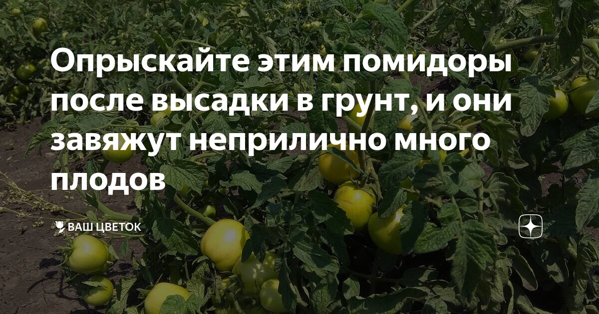 удобрение не вывезено на поля