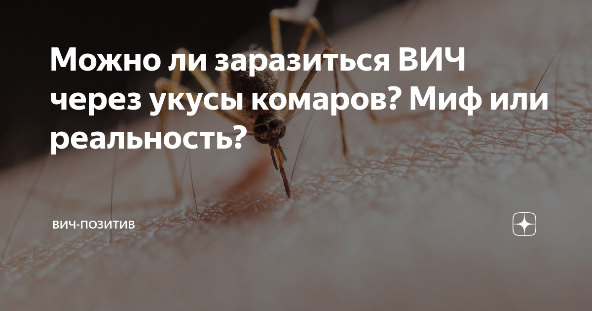 Вич через укусы. Можно ли заразиться ВИЧ при укусе комара. Можно заразиться ВИЧ через укус насекомого. Комар может передать ВИЧ.