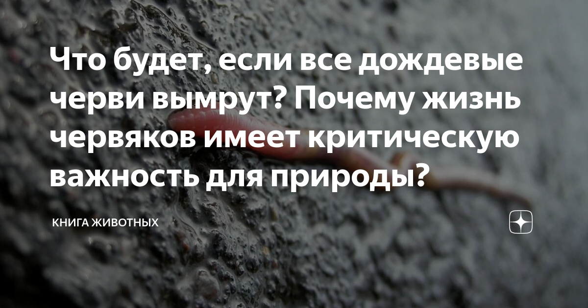 что будет если животные вымрут