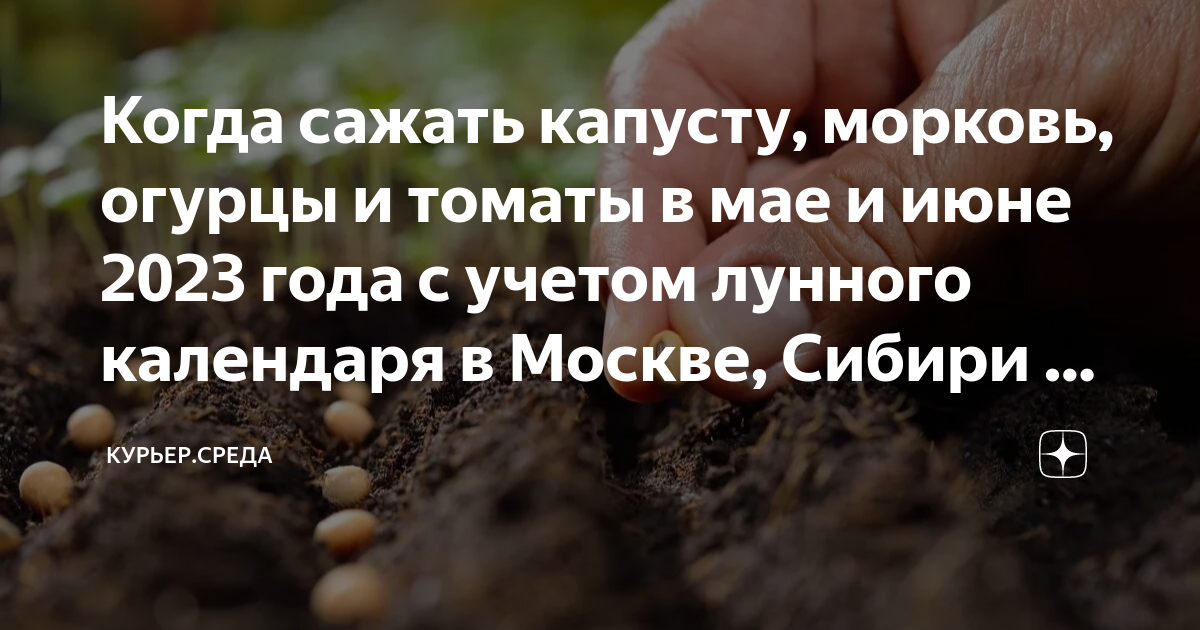 Когда садить морковь на урале в 2024. Посадка рассады в 2023 году по лунному календарю. Посадка овощей по лунному календарю 2023. Когда садить морковь, огурцы. Лунный календарь на май 2023.