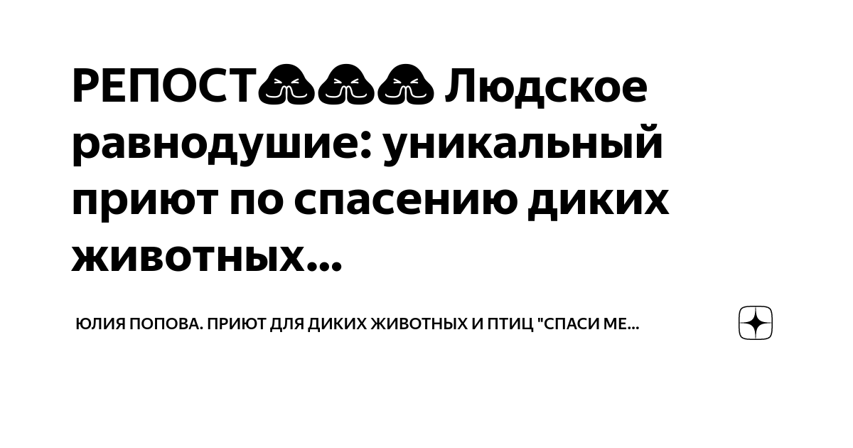 РЕПОСТ?????? Людское равнодушие: уникальный приют по спасению диких ...