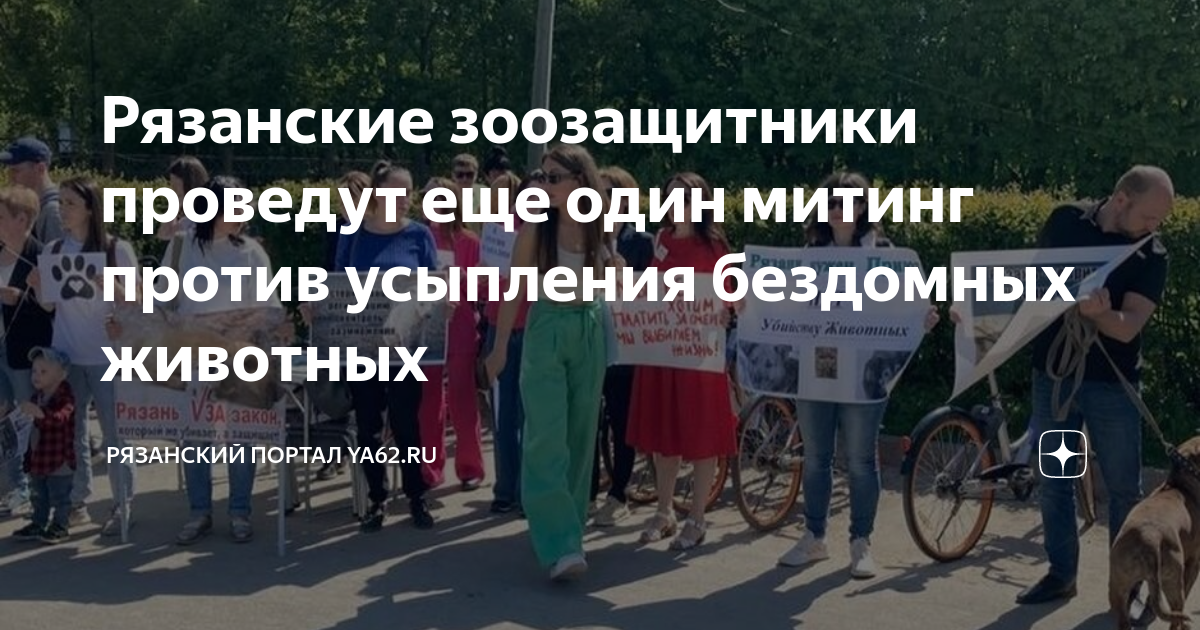 Против эвтаназии животных