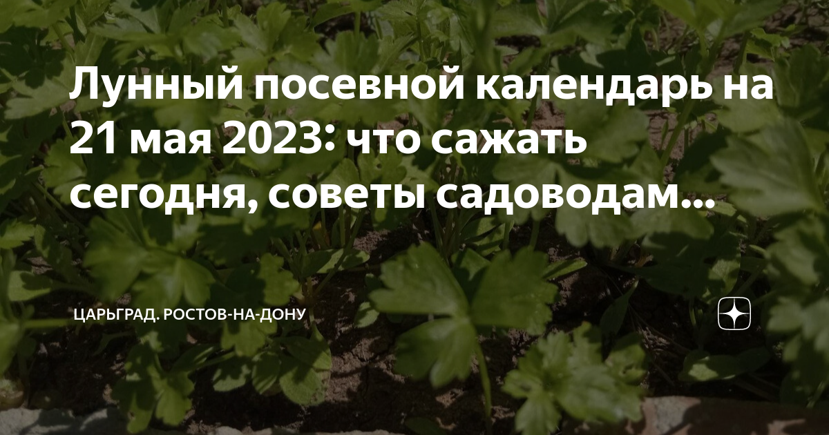 Садово огородный лунный календарь на ноябрь 2023