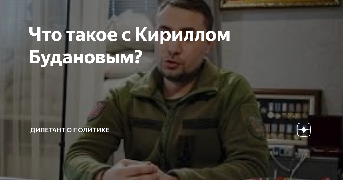 Дилетант о политике