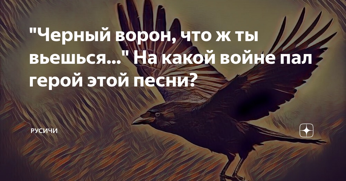 Что ж ты вьешься. Черный ворон чтож ты вьешься. Чёрный ворон что ты вьёшься над моею головой. Чёрный ворон чтож ты вьешься текст. Вороны Мои слова.