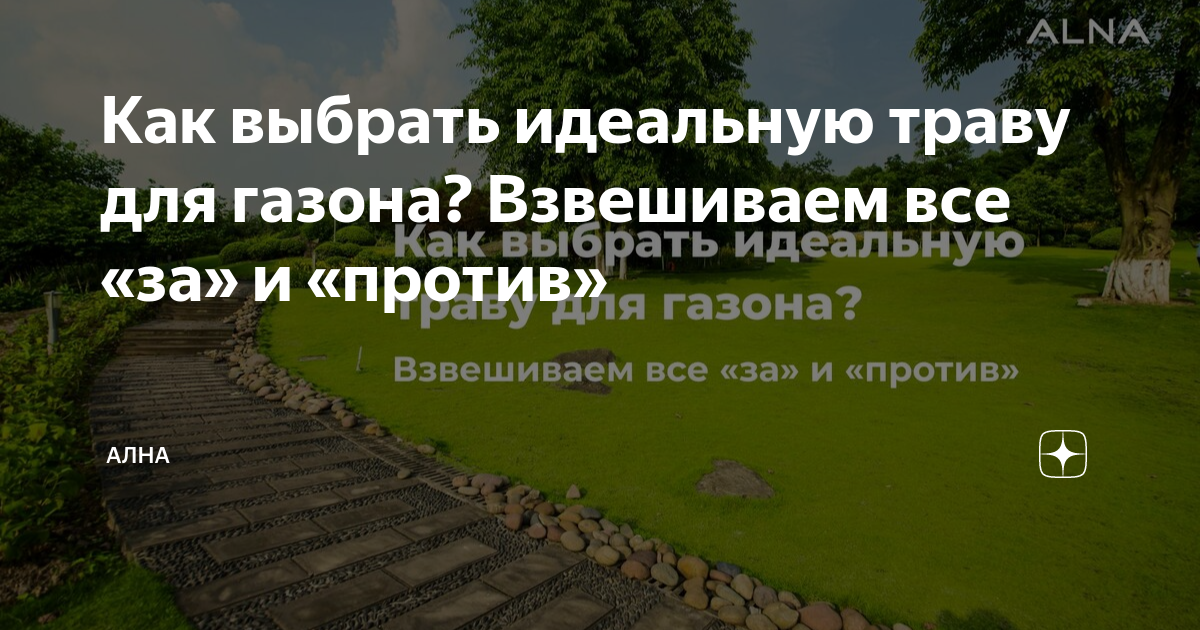 Как выбрать идеальную траву для газона? Взвешиваем все «за» и «против ...