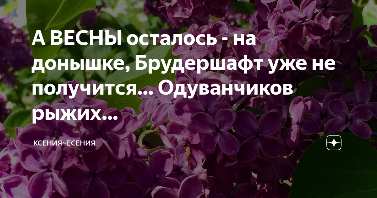 А весны осталось на донышке брудершафт уже не получится стих с картинкой