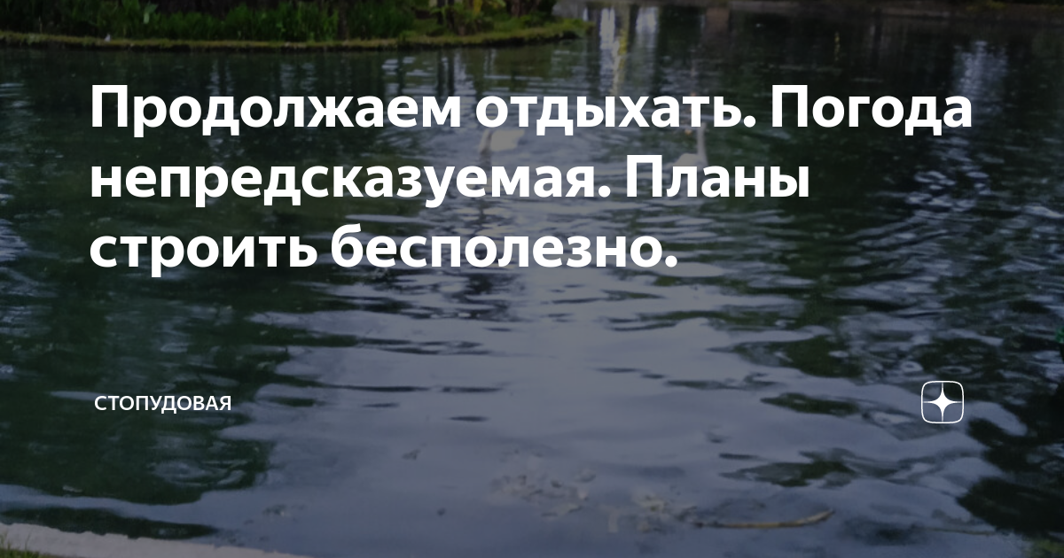 Как сделать сад устойчивым к непредсказуемым погодным условиям