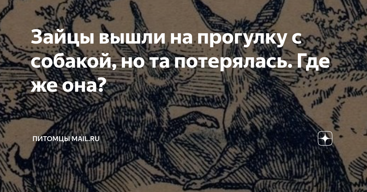 анекдот про зайца в тюрьме