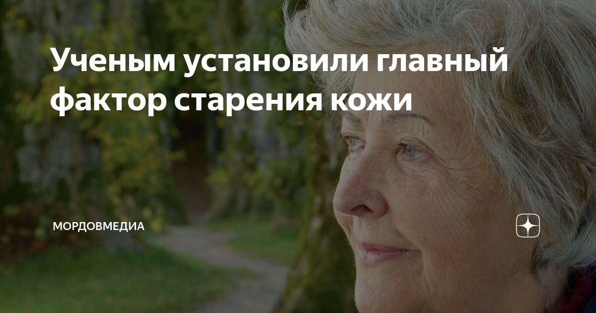Ученым установили главный фактор старения кожи | МордовМедиа | Дзен