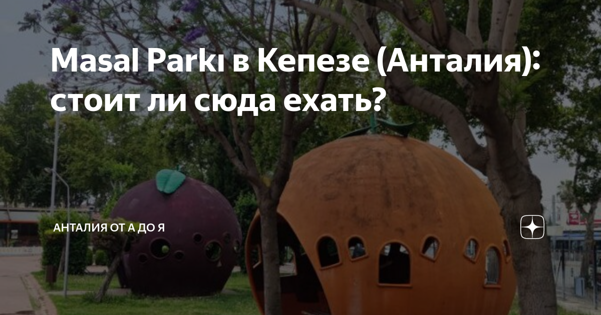 Они делают это в парках