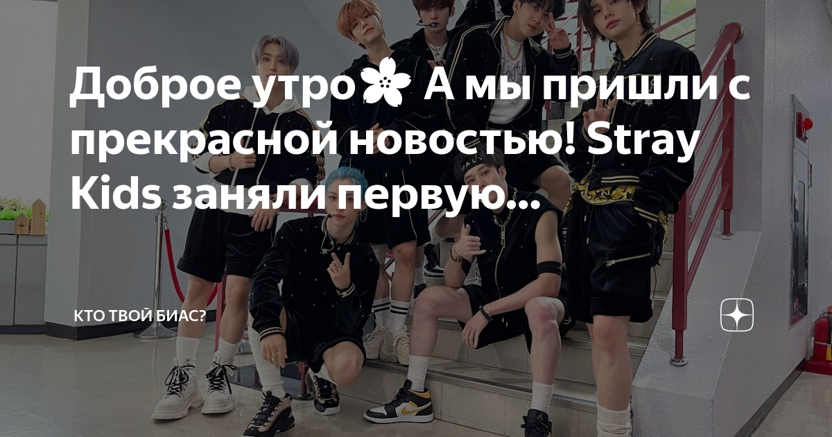 Тест кто твой биас из stray kids