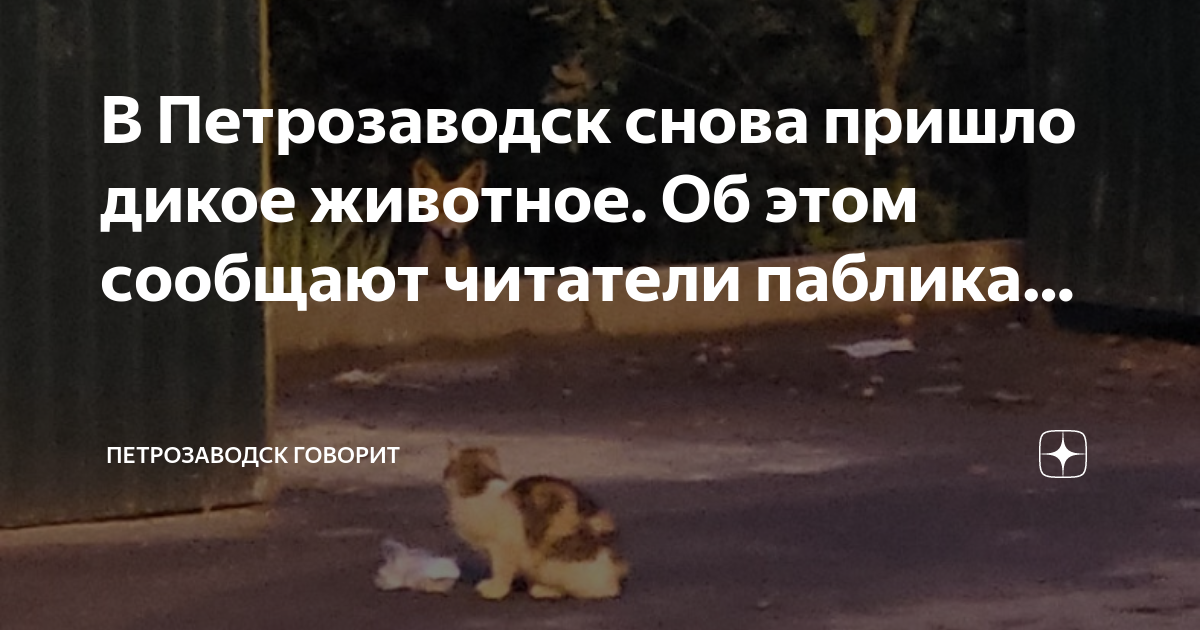Друг попал в дтп