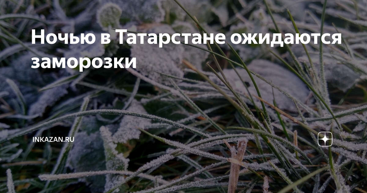 Заморозки ожидаются в ближайшее время. Заморозки май 2023. Заморозки на почве. Заморозки в мае Удмуртия. Заморозки в воздухе и на почве.