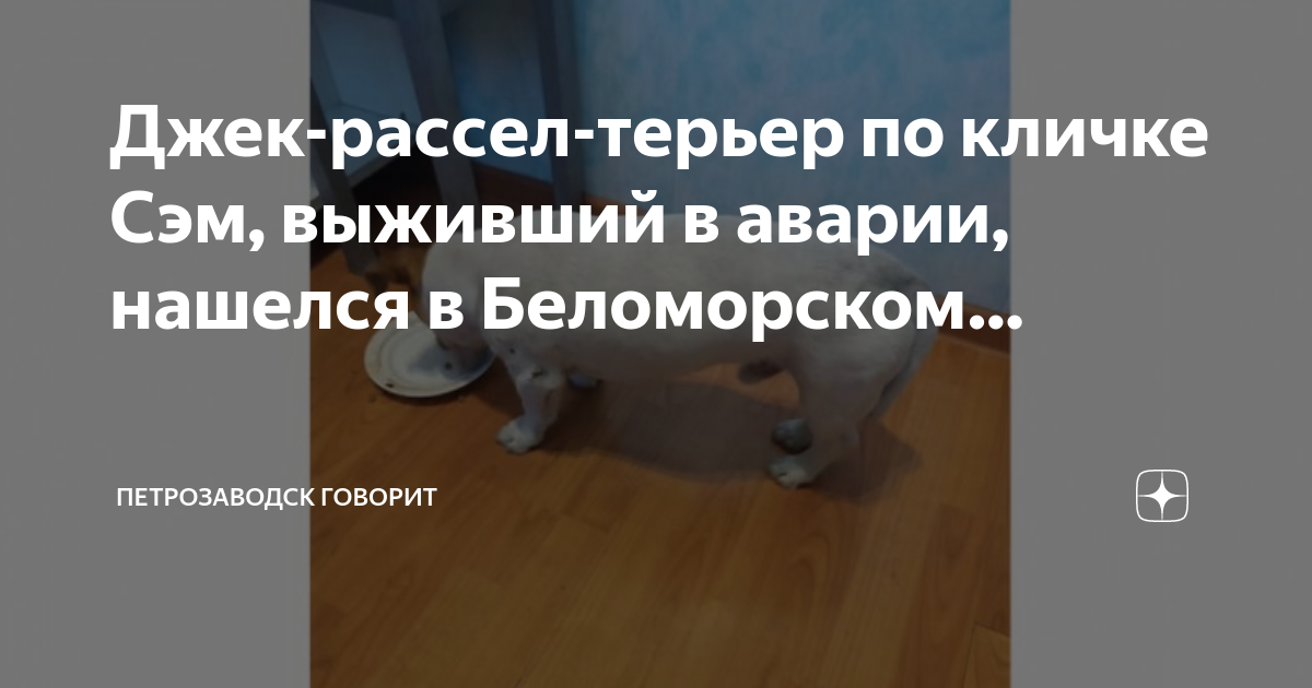 Почему я выжил в дтп
