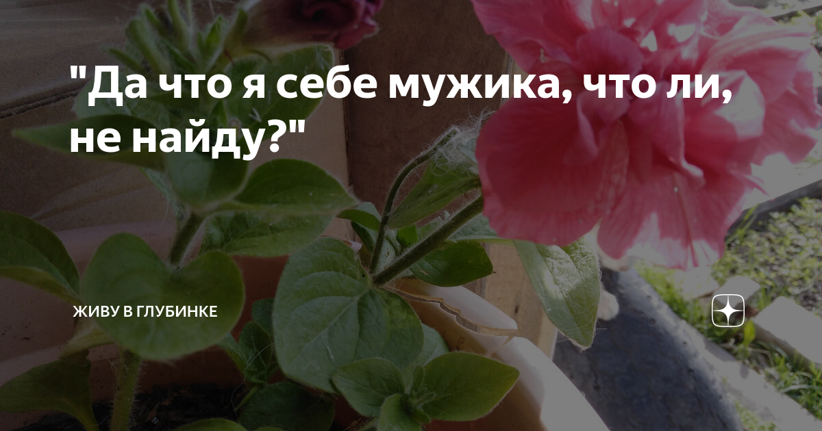 "Да что я себе мужика, что ли, не найду?" | Живу в глубинке | Дзен