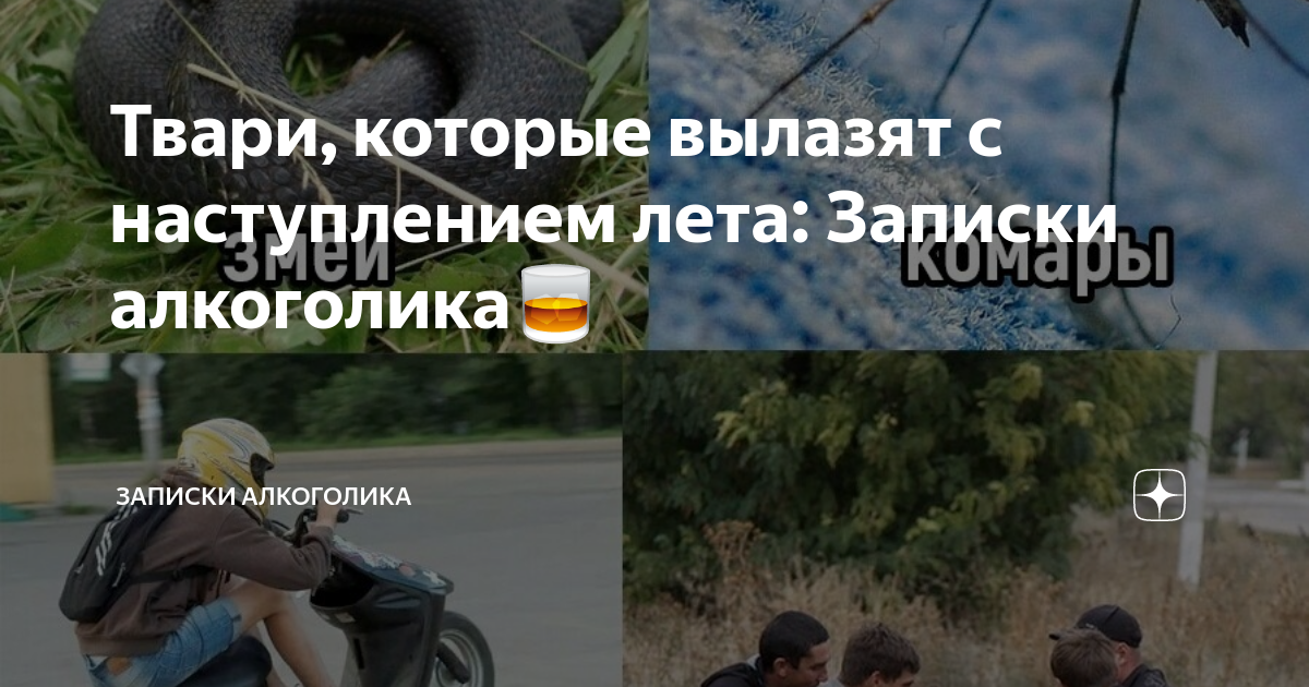 Записки алкоголички дзен. Записки алкоголички дзен. Записки алкоголички дзен. Записки алкоголички дзен. Записки алкоголички дзен.