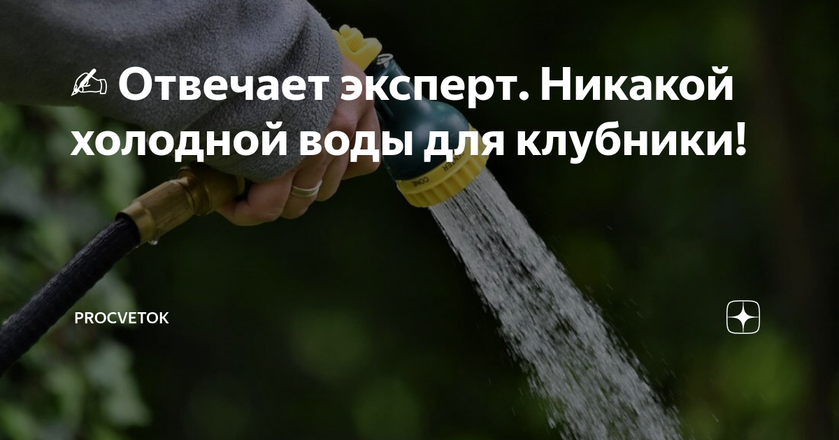 Почему растения нельзя поливать холодной водой. Как часто поливать помидоры в открытом грунте. Поливка огорода. Полив крыжовника. Полив томатов в теплице из поликарбоната.