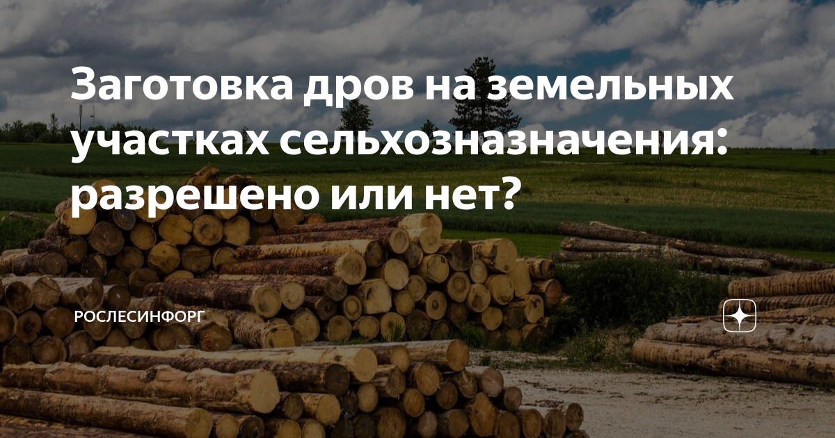 Заготовка дров на земельных участках сельхозназначения: разрешено или нет?  | Рослесинфорг | Дзен