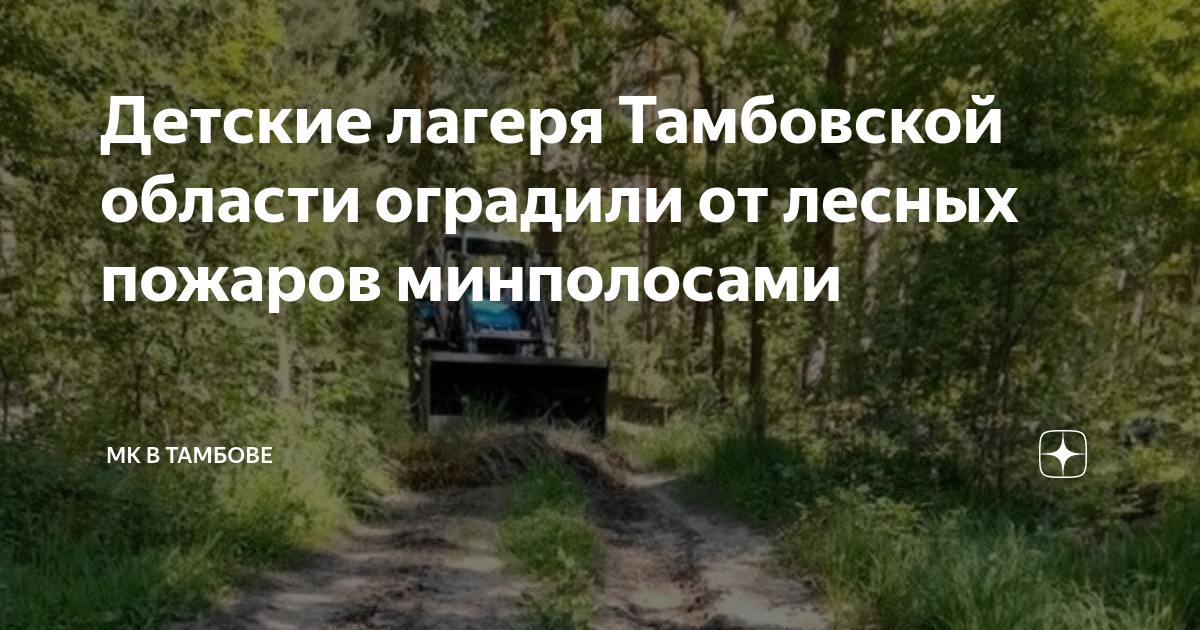 Карта глф гос лесной фонд