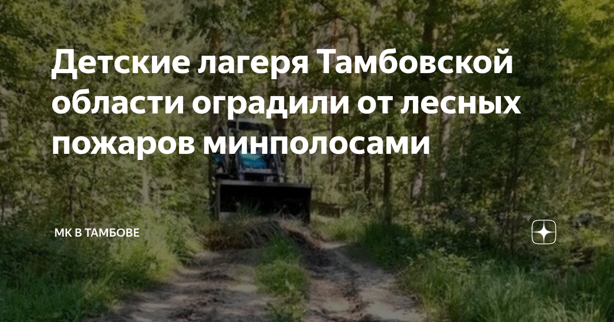 Лесной план тамбовской области