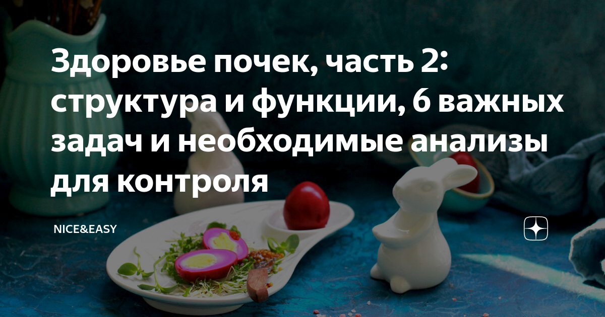 Здоровье почек, часть 2: структура и функции, 6 важных задач и ...