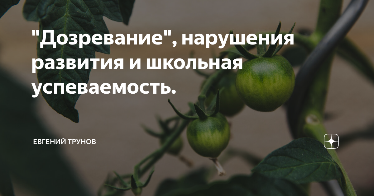 "Дозревание", нарушения развития и школьная успеваемость. | Евгений ...