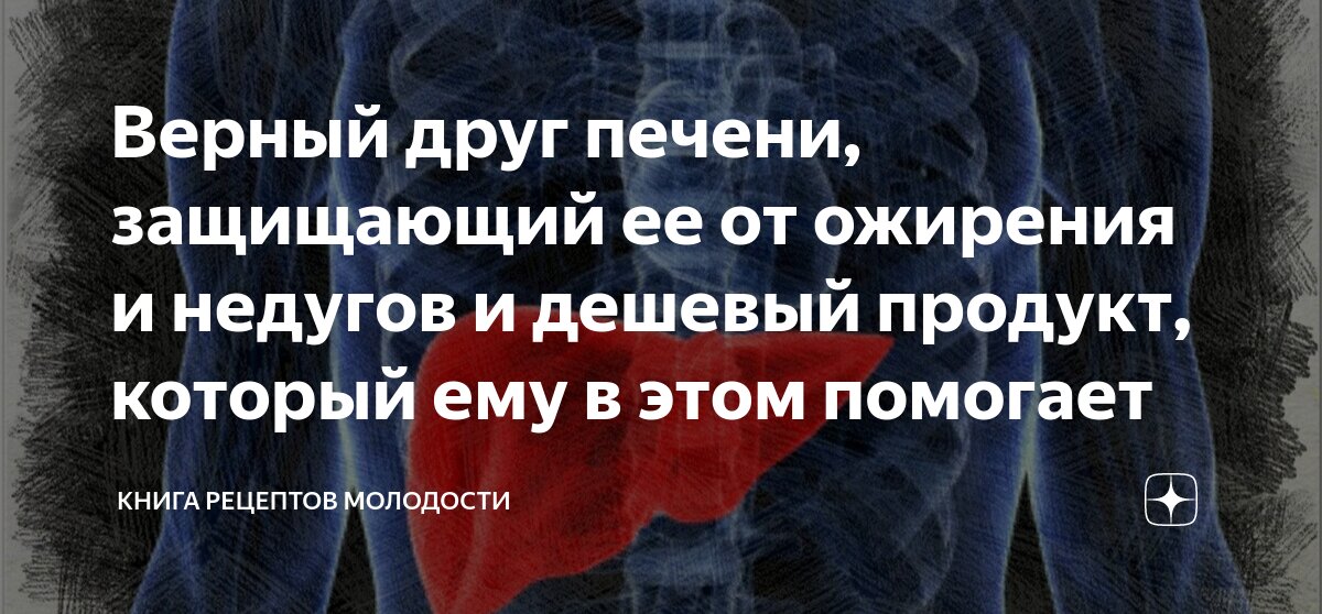 Верный друг печени, защищающий ее от ожирения и недугов и дешевый ...