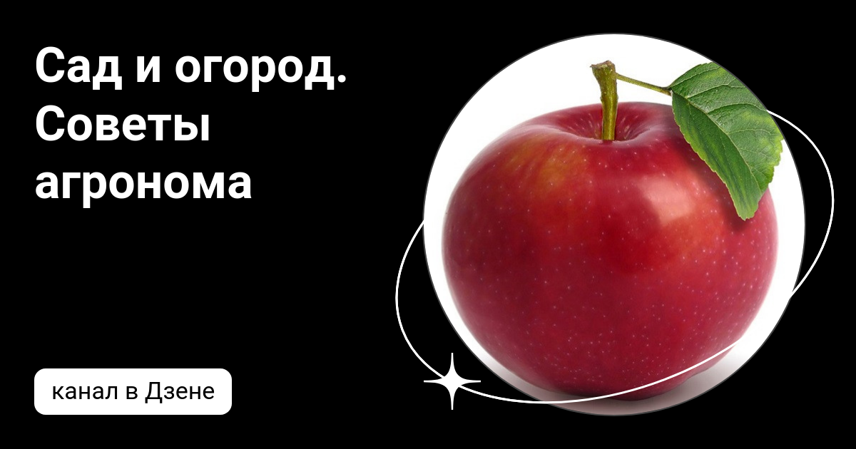 Советы агронома. Дачник с урожаем. Книга агронома. Советы агронома. Агроном с рассадой.