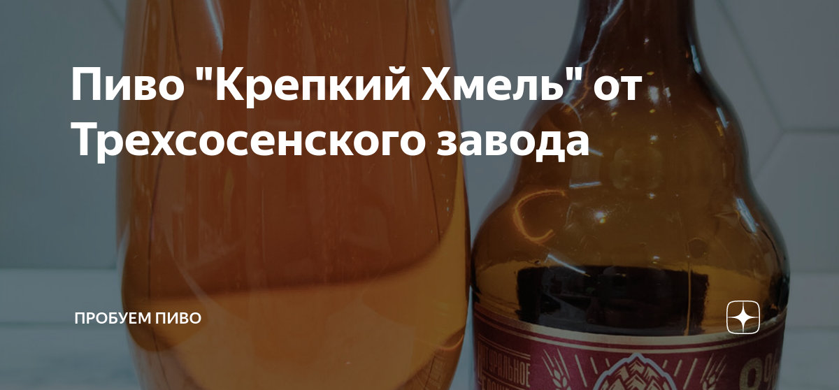 Пиво "Крепкий Хмель" от Трехсосенского завода | Пробуем пиво | Дзен
