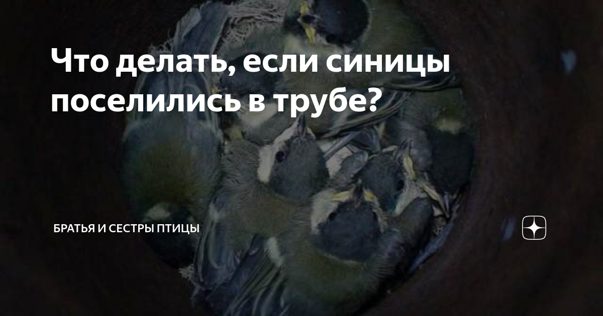 Как достать палку из трубы