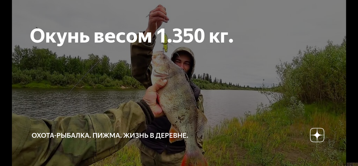 Охота и рыбалка пижма канал на дзене. Рыбалка в деревне. Рыболовство у Коми и охота. Охота рыбалка пижма