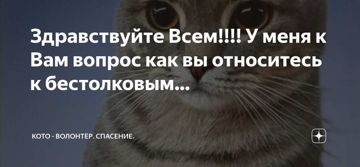 Спасение котенка