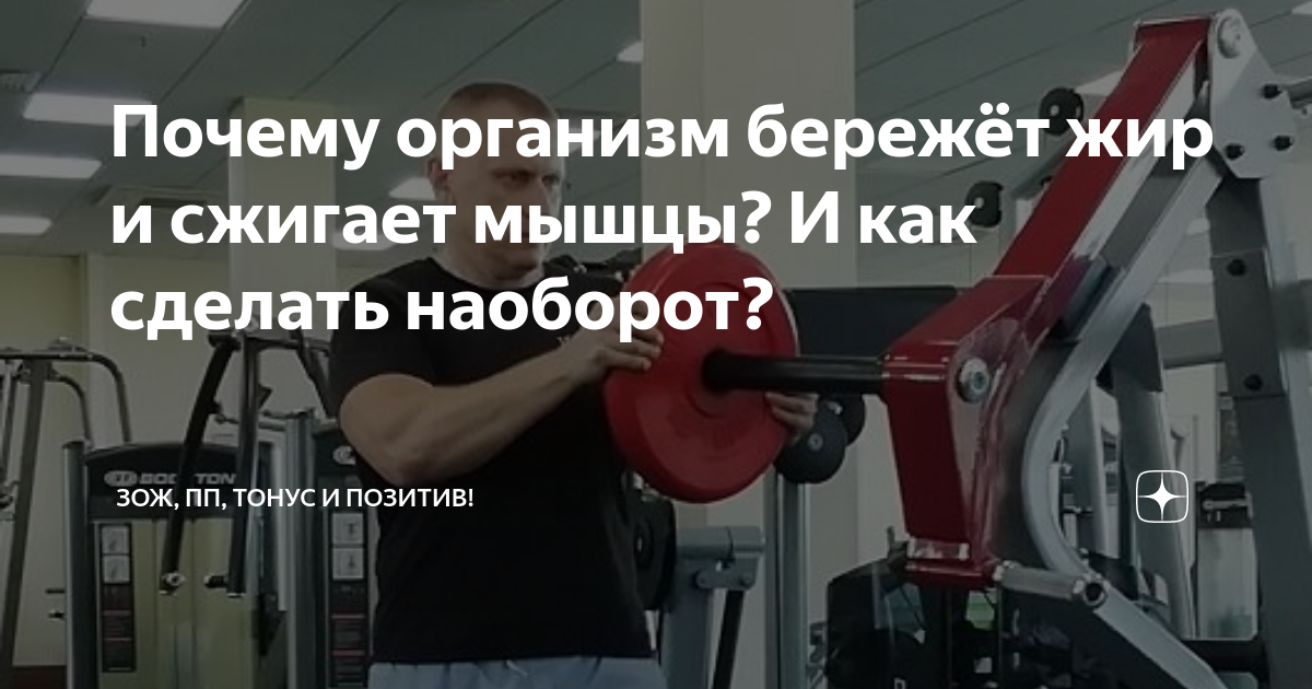 как сжечь жир и мышцы