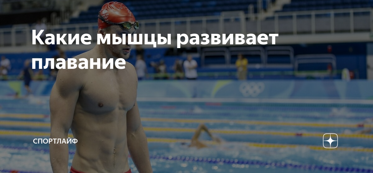 Скрябин Артем пловец