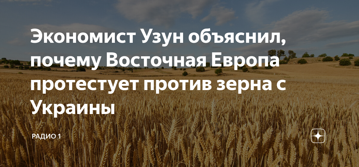 Пшеница европейский юг. Европа против украинского зерна.
