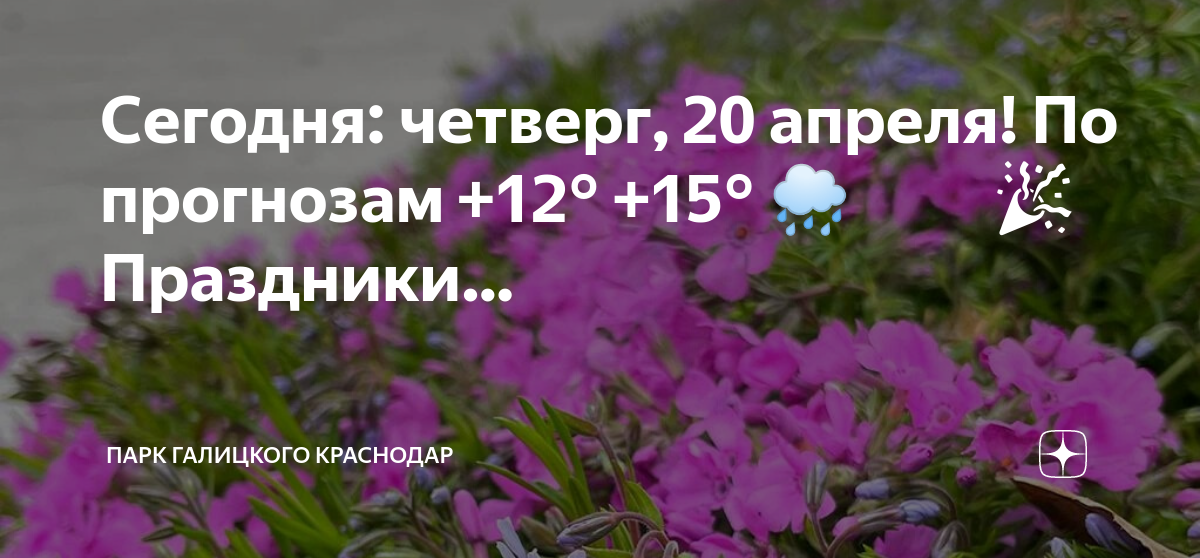 День охоты на королевского кракозябра 20 апреля картинки